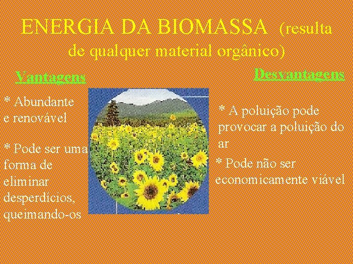 ENERGIA DA BIOMASSA (resulta de qualquer material orgânico) Vantagens * Abundante e renovável *