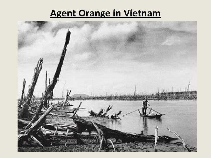 Agent Orange in Vietnam 