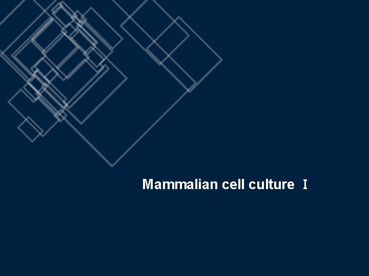 Mammalian cell culture Ⅰ 