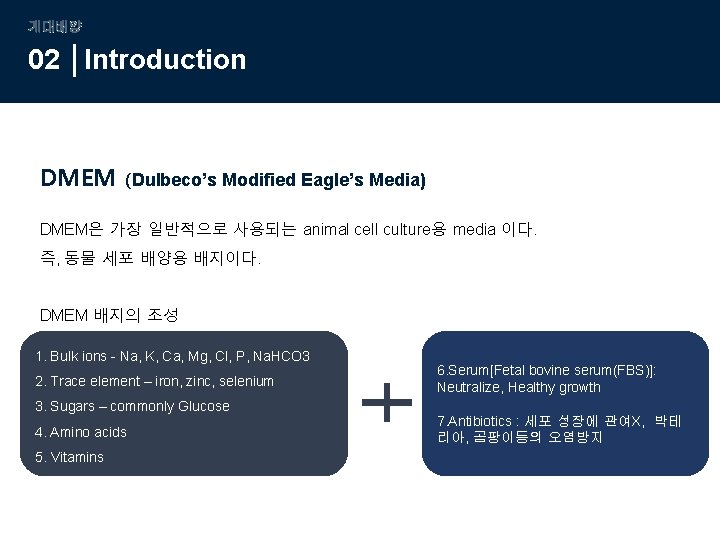 계대배양 02 Introduction DMEM (Dulbeco’s Modified Eagle’s Media) DMEM은 가장 일반적으로 사용되는 animal cell