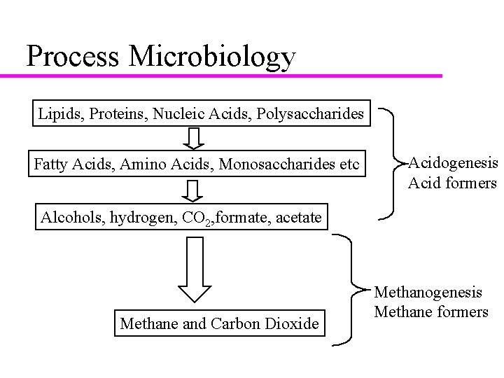 Process Microbiology Lipids, Proteins, Nucleic Acids, Polysaccharides Hydrolysis Fatty Acids, Amino Acids, Monosaccharides etc