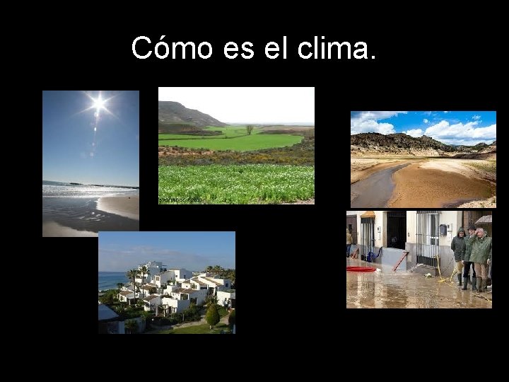 Cómo es el clima. 