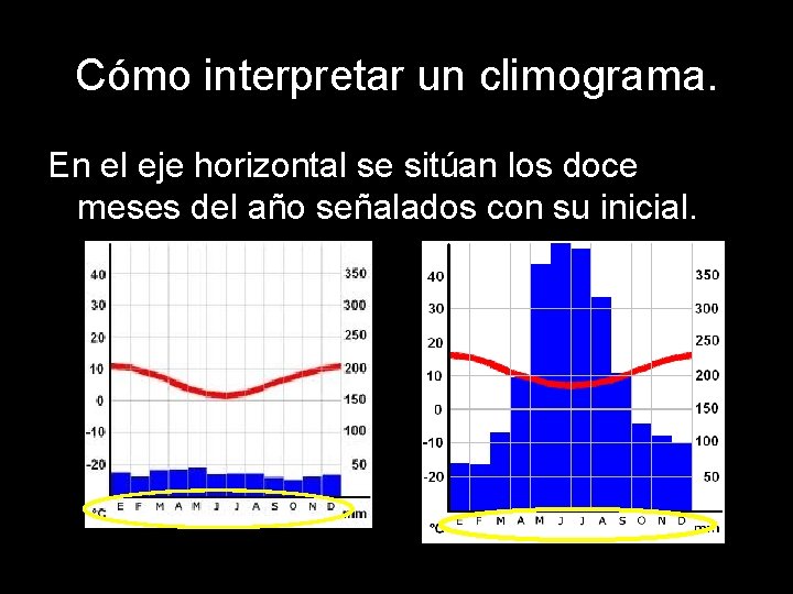 Cómo interpretar un climograma. En el eje horizontal se sitúan los doce meses del