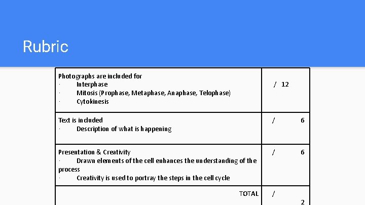 Rubric Photographs are included for · Interphase · Mitosis (Prophase, Metaphase, Anaphase, Telophase) ·