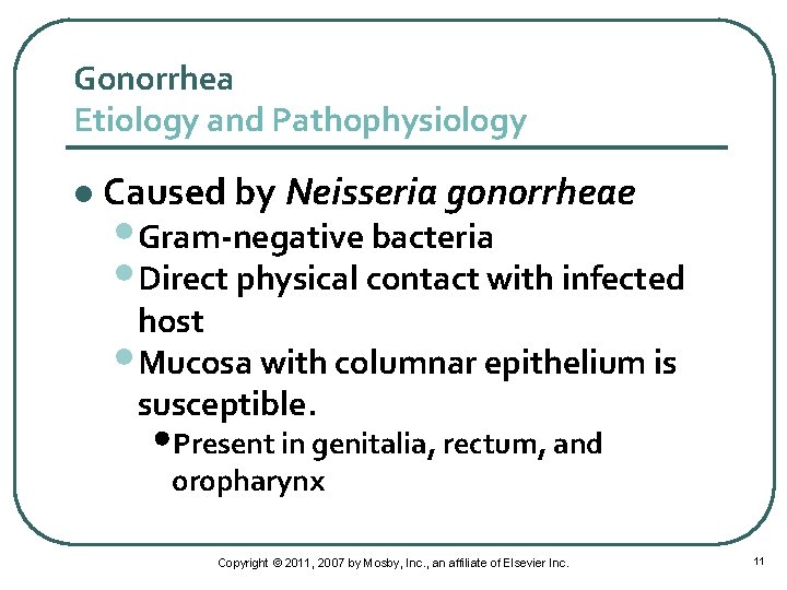 Gonorrhea Etiology and Pathophysiology l Caused by Neisseria gonorrheae • Gram-negative bacteria • Direct