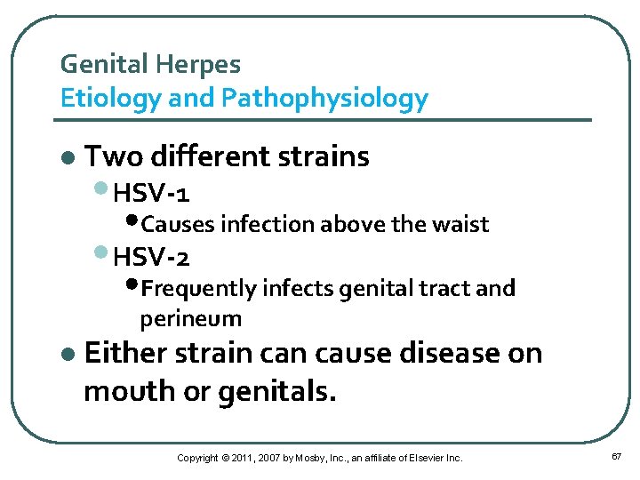 Genital Herpes Etiology and Pathophysiology l Two different strains • HSV-1 • Causes infection