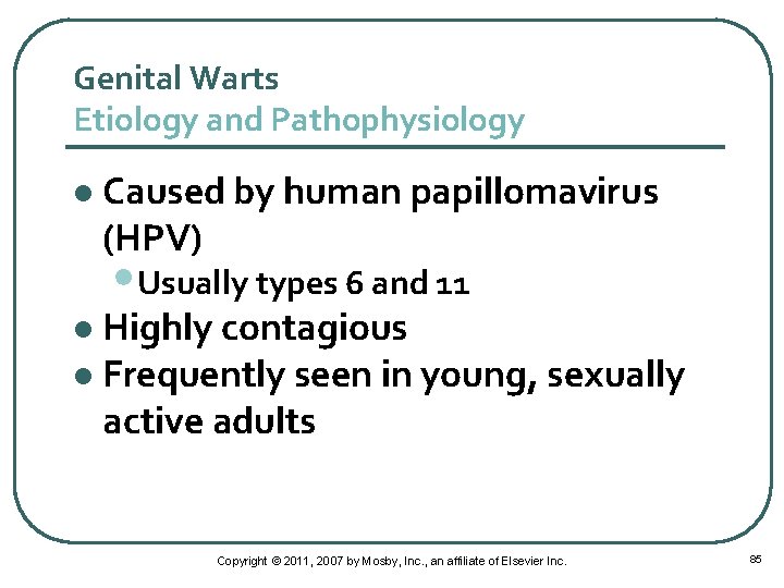 Genital Warts Etiology and Pathophysiology l Caused by human papillomavirus (HPV) • Usually types