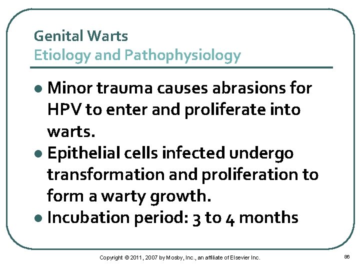 Genital Warts Etiology and Pathophysiology Minor trauma causes abrasions for HPV to enter and