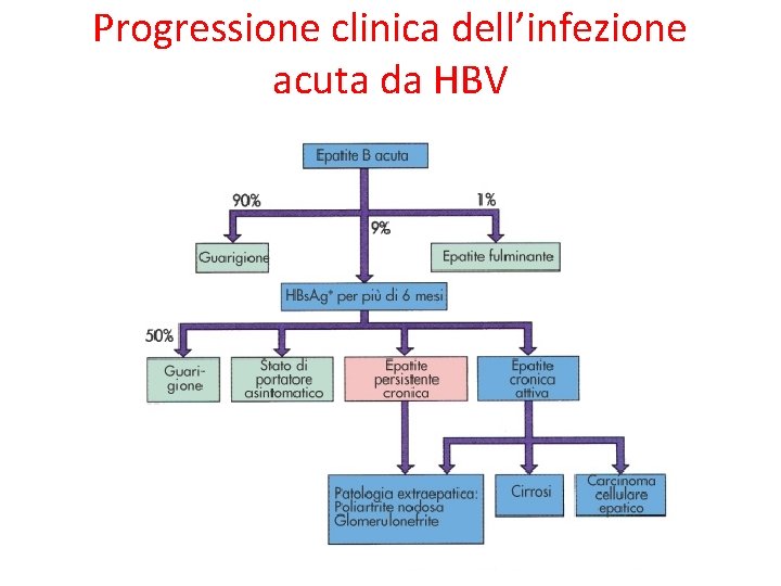 Progressione clinica dell’infezione acuta da HBV 