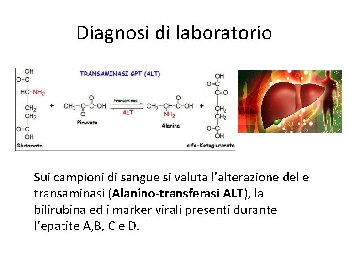 Diagnosi di laboratorio Sui campioni di sangue si valuta l’alterazione delle transaminasi (Alanino-transferasi ALT),