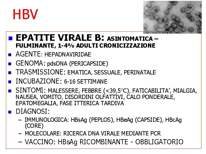 HBV n EPATITE VIRALE B: ASINTOMATICA – FULMINANTE, 1 -4% ADULTI CRONICIZZAZIONE n AGENTE: