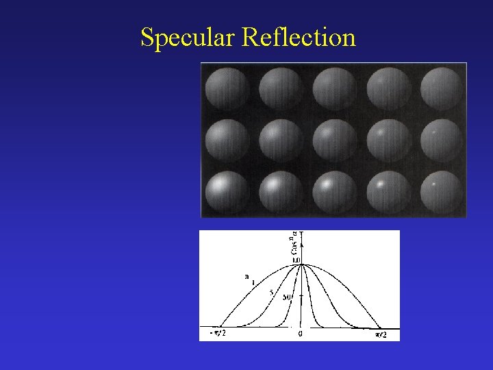 Specular Reflection 