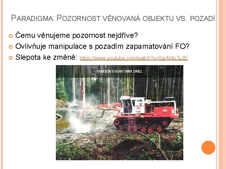 PARADIGMA: POZORNOST VĚNOVANÁ OBJEKTU VS. POZADÍ Čemu věnujeme pozornost nejdříve? Ovlivňuje manipulace s pozadím