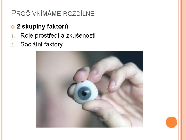 PROČ VNÍMÁME ROZDÍLNĚ 2 skupiny faktorů 1. Role prostředí a zkušenosti 2. Sociální faktory