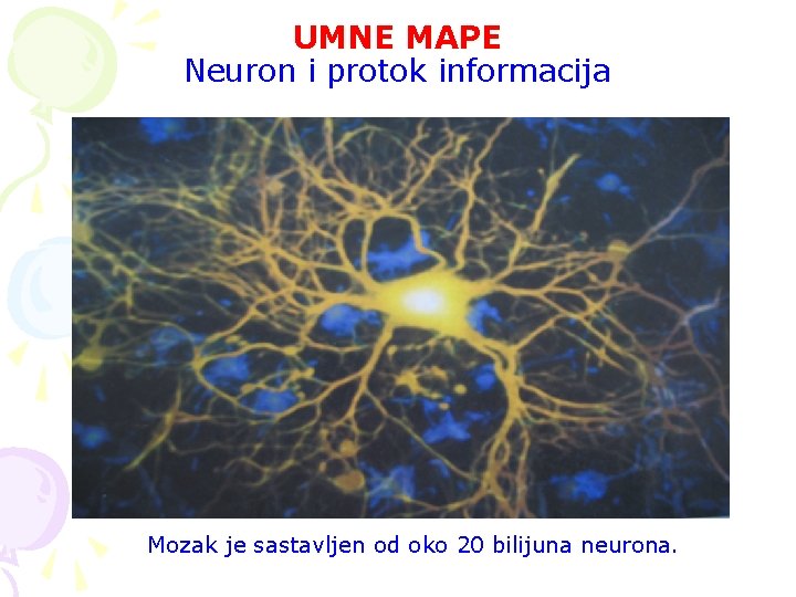 UMNE MAPE Neuron i protok informacija Mozak je sastavljen od oko 20 bilijuna neurona.