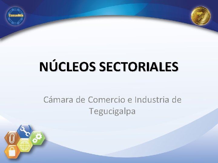 NÚCLEOS SECTORIALES Cámara de Comercio e Industria de Tegucigalpa 