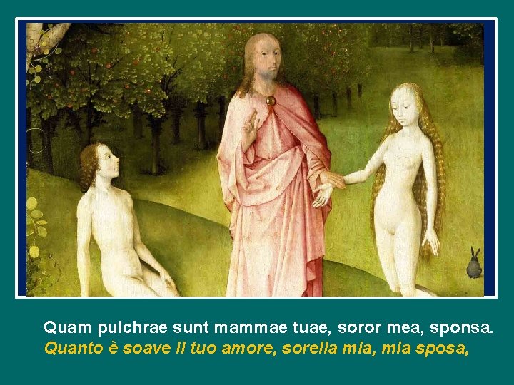 Quam pulchrae sunt mammae tuae, soror mea, sponsa. Quanto è soave il tuo amore,