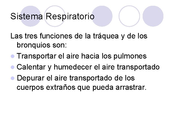 Sistema Respiratorio Las tres funciones de la tráquea y de los bronquios son: l