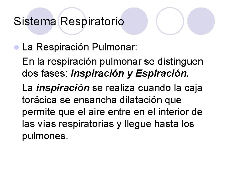 Sistema Respiratorio l La Respiración Pulmonar: En la respiración pulmonar se distinguen dos fases: