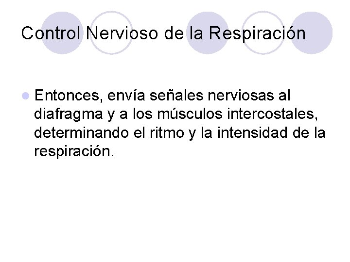 Control Nervioso de la Respiración l Entonces, envía señales nerviosas al diafragma y a
