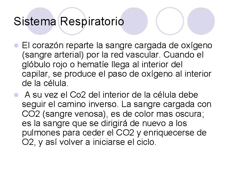 Sistema Respiratorio El corazón reparte la sangre cargada de oxígeno (sangre arterial) por la