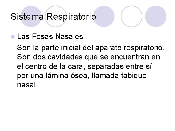 Sistema Respiratorio l Las Fosas Nasales Son la parte inicial del aparato respiratorio. Son