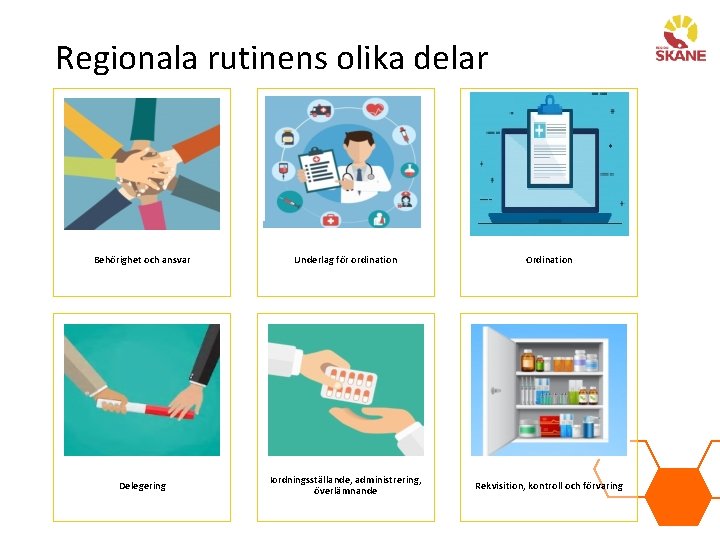 Regionala rutinens olika delar Behörighet och ansvar Underlag för ordination Ordination Delegering Iordningsställande, administrering,