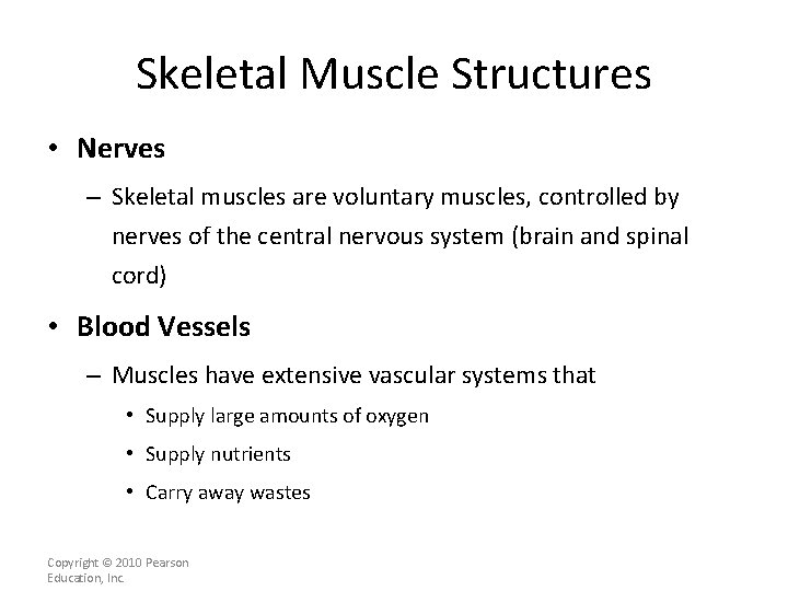 Skeletal Muscle Structures • Nerves – Skeletal muscles are voluntary muscles, controlled by nerves