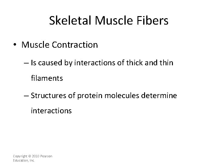 Skeletal Muscle Fibers • Muscle Contraction – Is caused by interactions of thick and