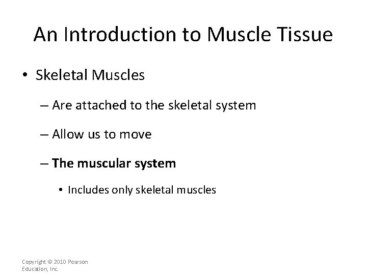 An Introduction to Muscle Tissue • Skeletal Muscles – Are attached to the skeletal