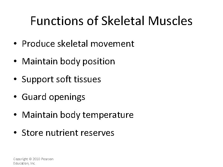 Functions of Skeletal Muscles • Produce skeletal movement • Maintain body position • Support