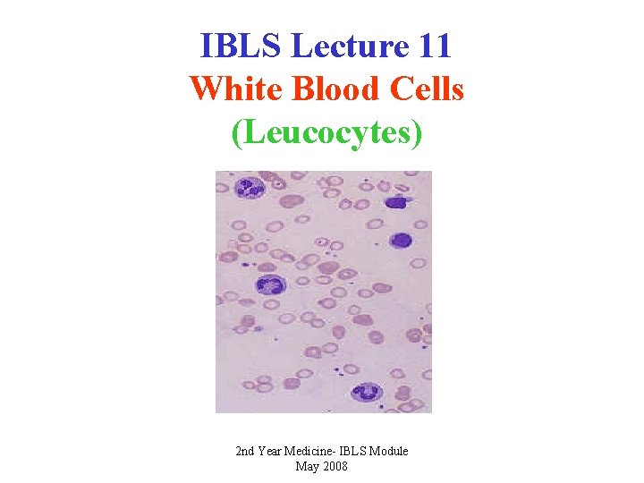 IBLS Lecture 11 White Blood Cells (Leucocytes) 2 nd Year Medicine- IBLS Module May