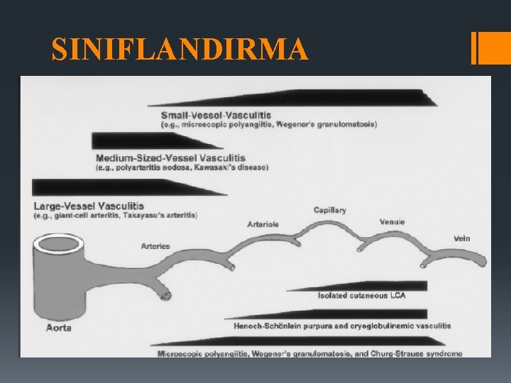 SINIFLANDIRMA 