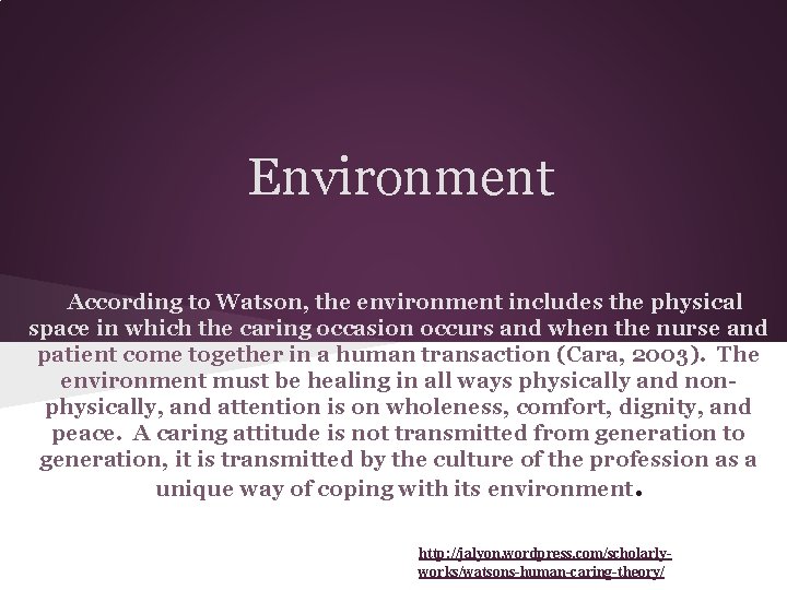 Environment According to Watson, the environment includes the physical space in which the caring