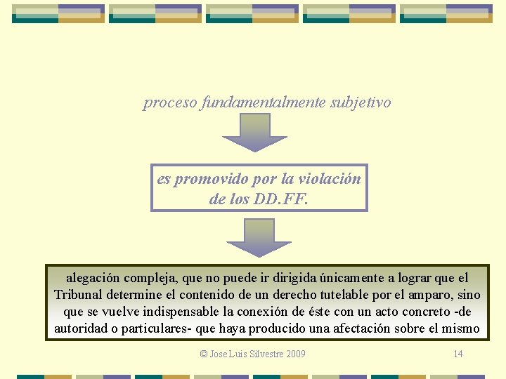 proceso fundamentalmente subjetivo es promovido por la violación de los DD. FF. alegación compleja,