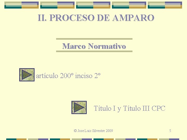 II. PROCESO DE AMPARO Marco Normativo artículo 200º inciso 2º Título I y Título