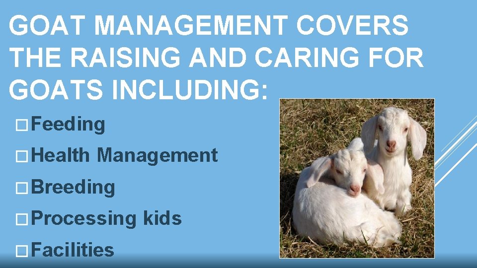 GOAT MANAGEMENT COVERS THE RAISING AND CARING FOR GOATS INCLUDING: �Feeding �Health Management �Breeding