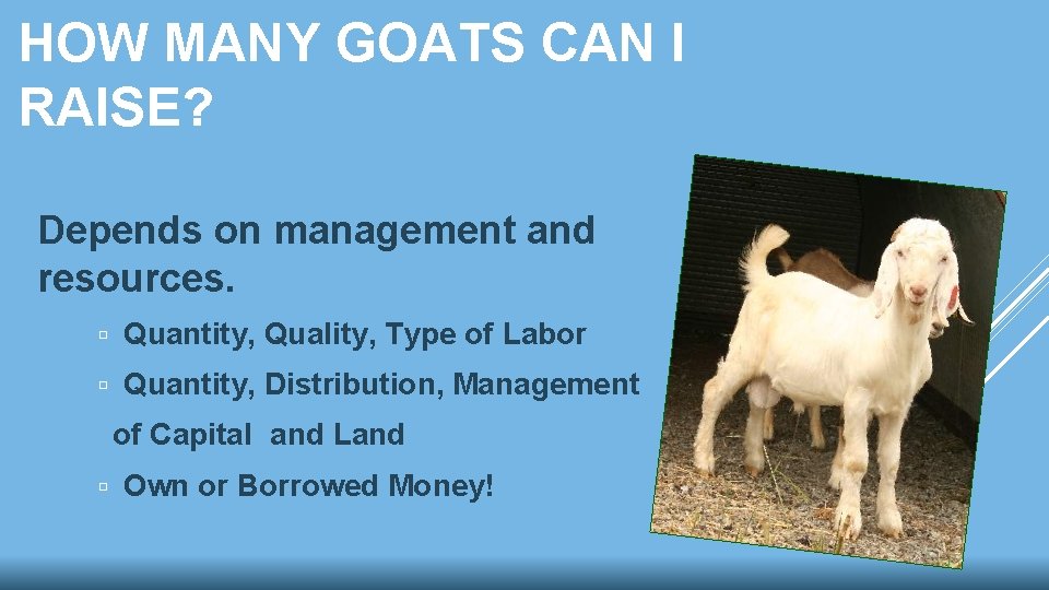 HOW MANY GOATS CAN I RAISE? Depends on management and resources. Quantity, Quality, Type HOW MANY GOATS CAN I RAISE? Depends on management and resources. Quantity, Quality, Type