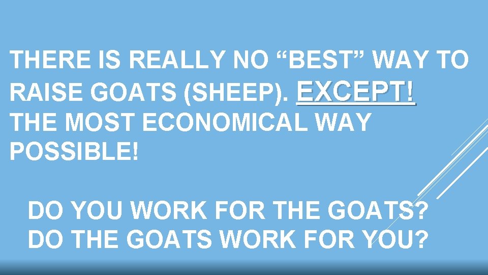 THERE IS REALLY NO “BEST” WAY TO RAISE GOATS (SHEEP). EXCEPT! THE MOST ECONOMICAL