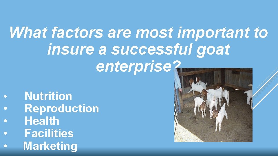 What factors are most important to insure a successful goat enterprise? • • •