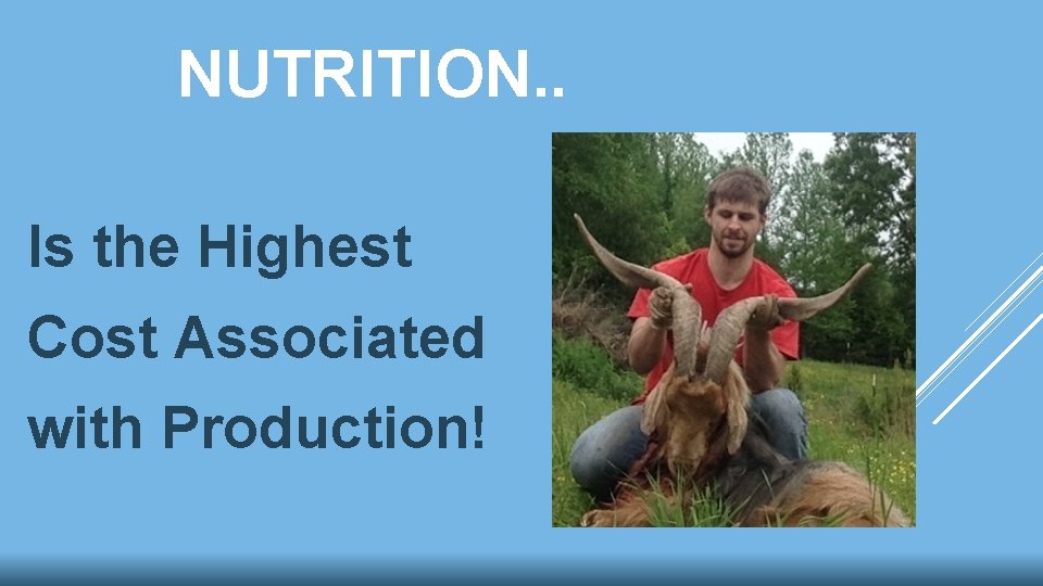 NUTRITION. . Is the Highest Cost Associated with Production! 