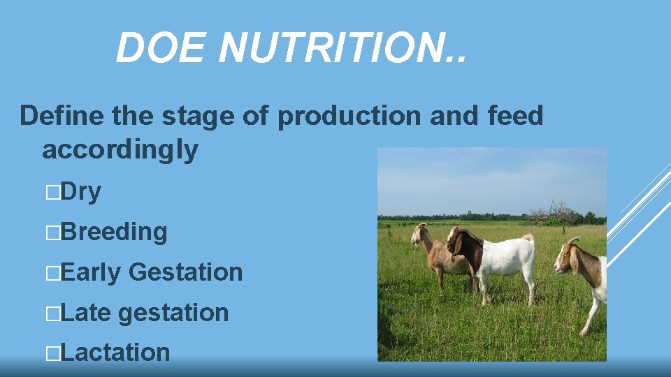 DOE NUTRITION. . Define the stage of production and feed accordingly �Dry �Breeding �Early