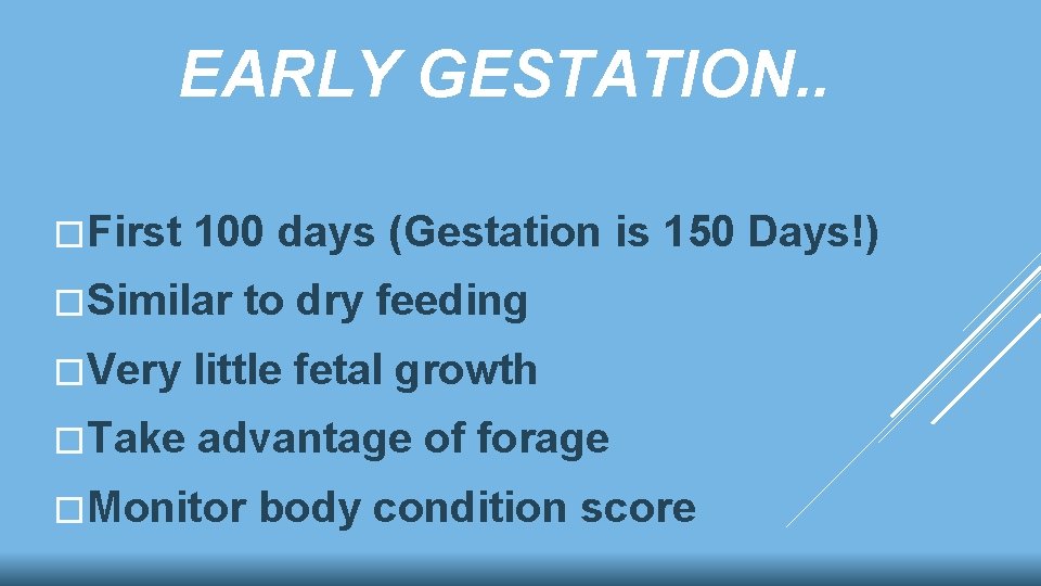 EARLY GESTATION. . �First 100 days (Gestation is 150 Days!) �Similar to dry feeding