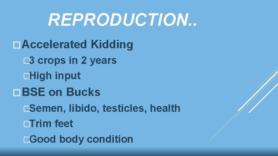 REPRODUCTION. . �Accelerated Kidding � 3 crops in 2 years �High input �BSE on