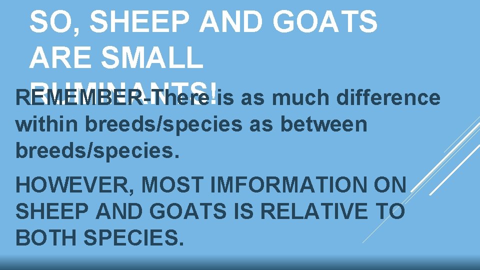 SO, SHEEP AND GOATS ARE SMALL RUMINANTS!is as much difference REMEMBER-There within breeds/species as