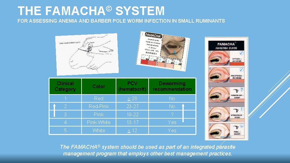 THE FAMACHA© SYSTEM FOR ASSESSING ANEMIA AND BARBER POLE WORM INFECTION IN SMALL RUMINANTS