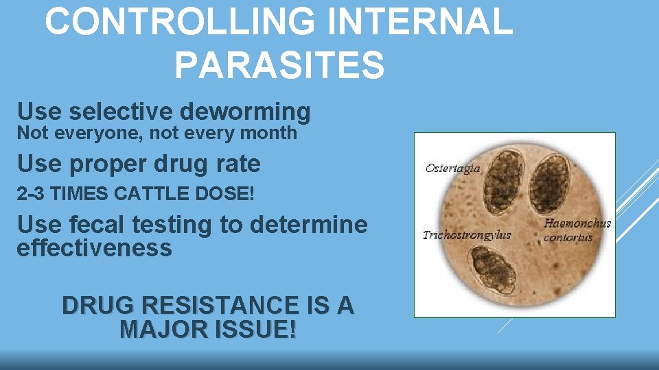 CONTROLLING INTERNAL PARASITES Use selective deworming Not everyone, not every month Use proper drug