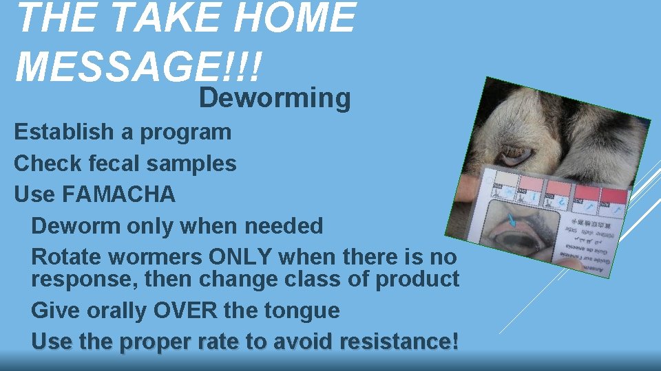 THE TAKE HOME MESSAGE!!! Deworming Establish a program Check fecal samples Use FAMACHA Deworm