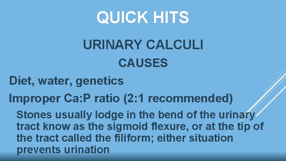 QUICK HITS URINARY CALCULI CAUSES Diet, water, genetics Improper Ca: P ratio (2: 1