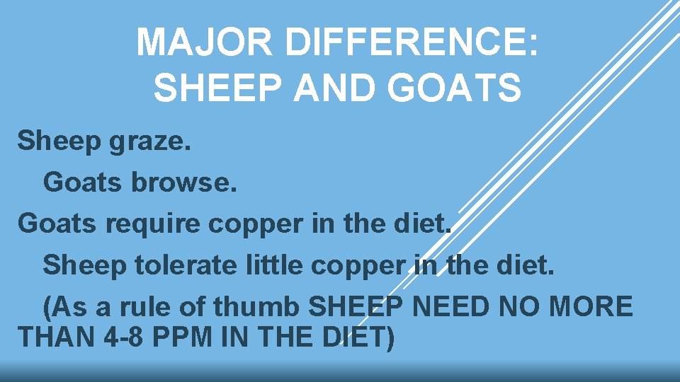 MAJOR DIFFERENCE: SHEEP AND GOATS Sheep graze. Goats browse. Goats require copper in the